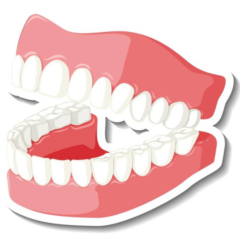 Dental Veneer & Thineer facility